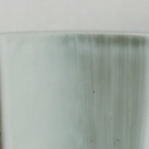 FP-17